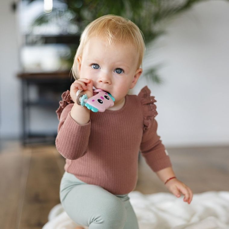 BabyOno, grzechotka, sowa