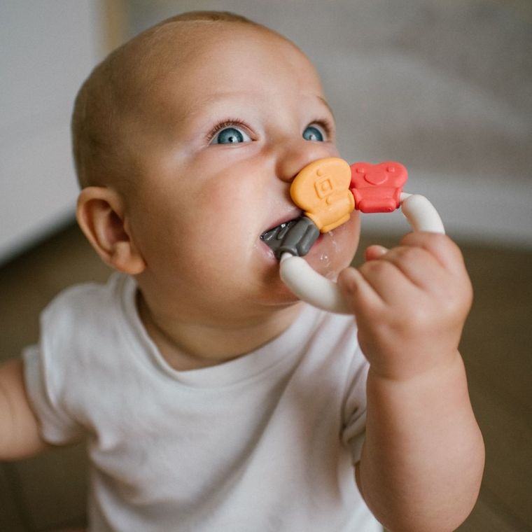 BabyOno, grzechotka z gryzakiem