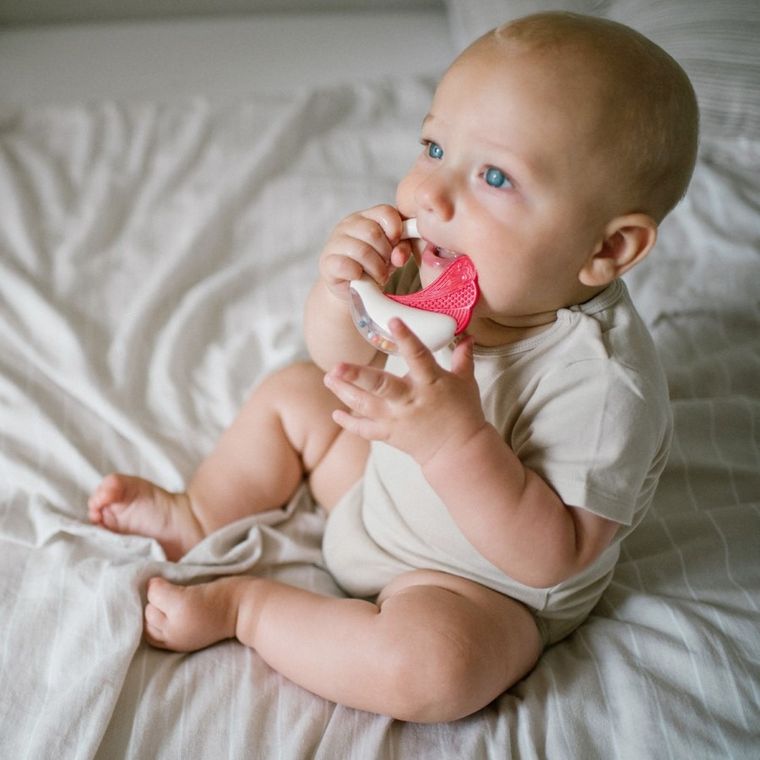 BabyOno, grzechotka z gryzakiem