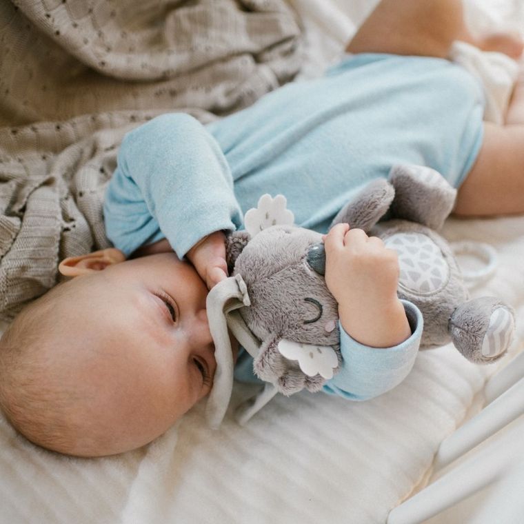 BabyOno, Koala Coco, pozytywka