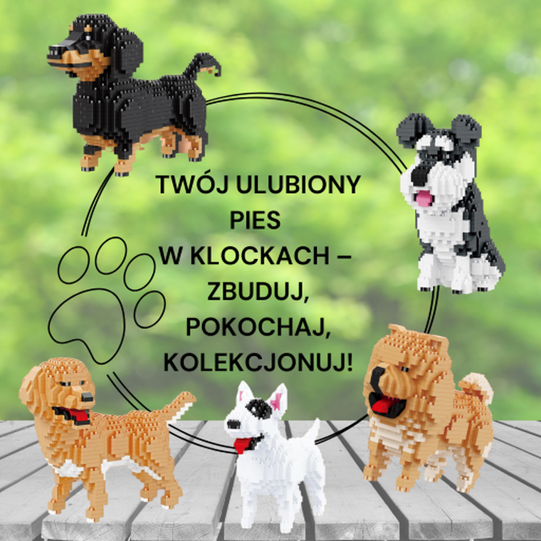 Balody, Pies Chow Chow, klocki konstrukcyjne, 768 elementów