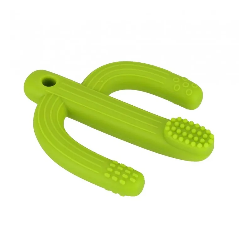 Bam Bam, Kaktus, gryzak, szczoteczka