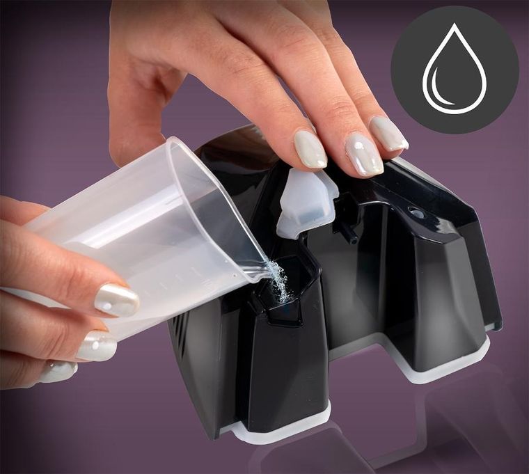 Berdsen, Steamer, parownica do ubrań, 2000W, BD-300