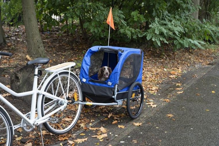 Bicycle Gear, przyczepka rowerowa dla zwierząt, do 40 kg