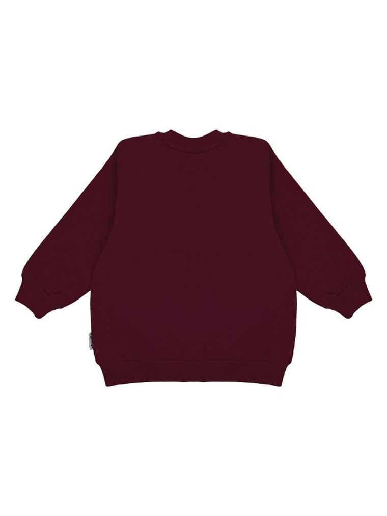 Bluza chłopięca, rozpinana, bordowa, Nicol