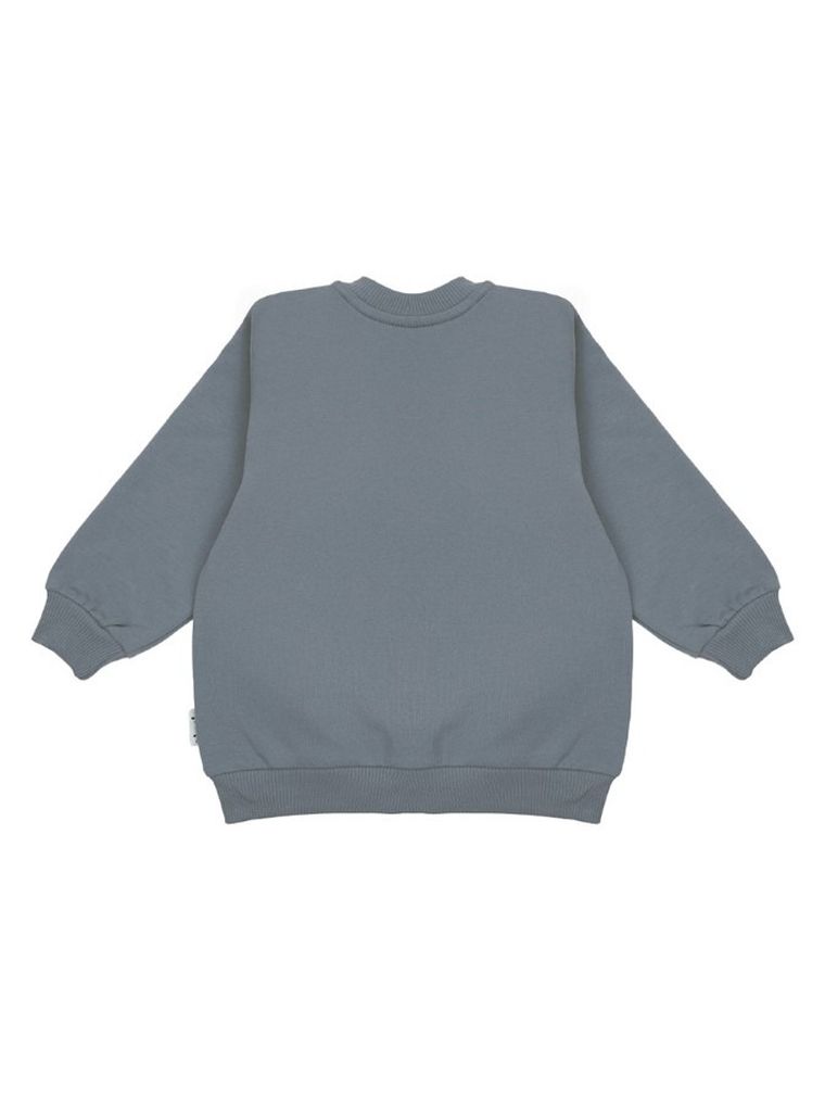 Bluza chłopięca, rozpinana, szara, Nicol