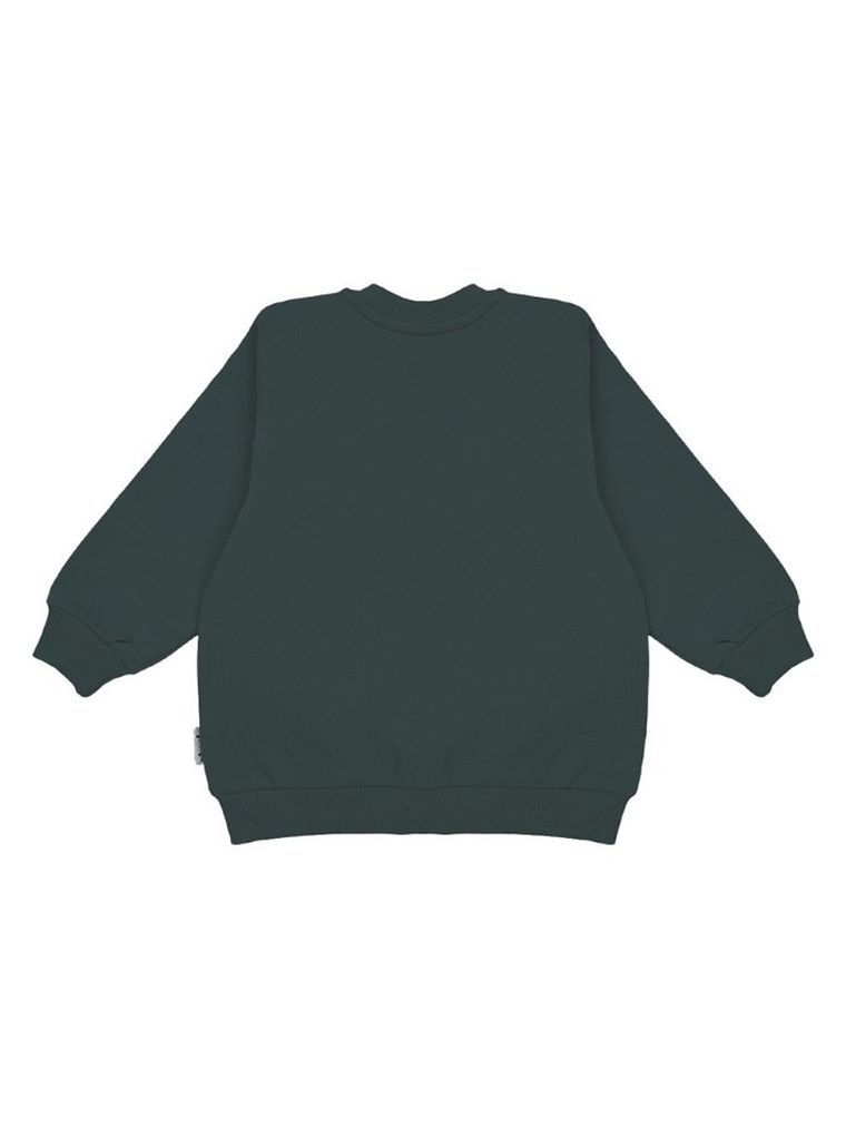 Bluza chłopięca, rozpinana, zielona, Nicol