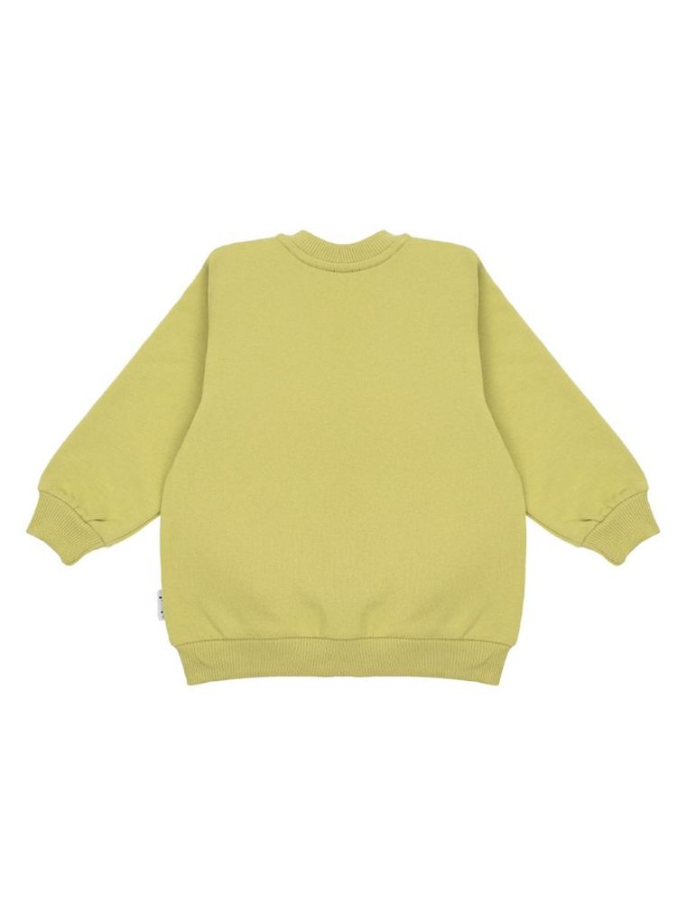 Bluza chłopięca, rozpinana, zielona, Nicol