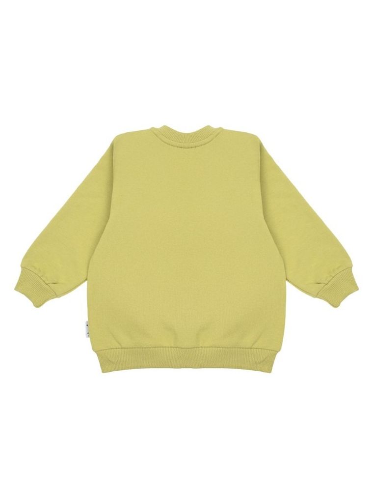 Bluza chłopięca, rozpinana, zielona, Nicol