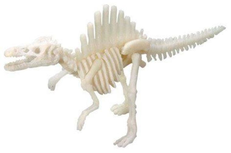 Bones&More, Duży szkielet dinozaura, wykopalisko, odcisk łapy