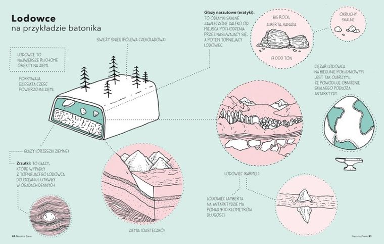 Cały świat jest cudem. Ilustrowany przewodnik po tajemnicach przyrody
