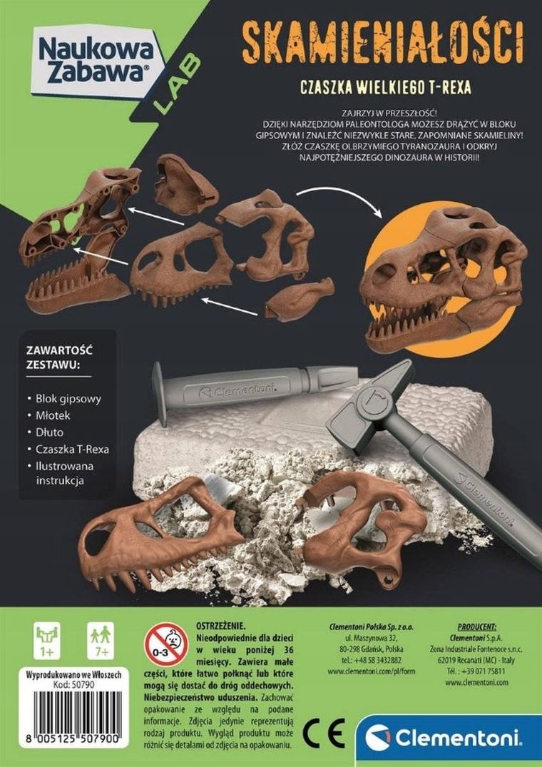 Clementoni, Naukowa Zabawa, Skamieniałości, Czaszka Wielkiego T-Rexa, zestaw edukacyjny