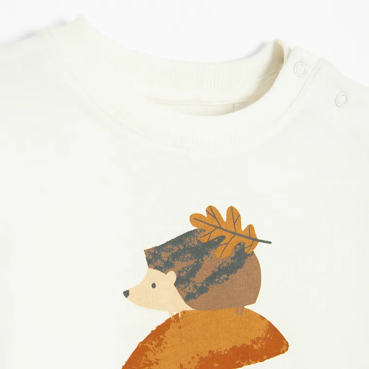 Cool Club, Bluzka chłopięca z długim rękawem, mix, zestaw, 3 szt.