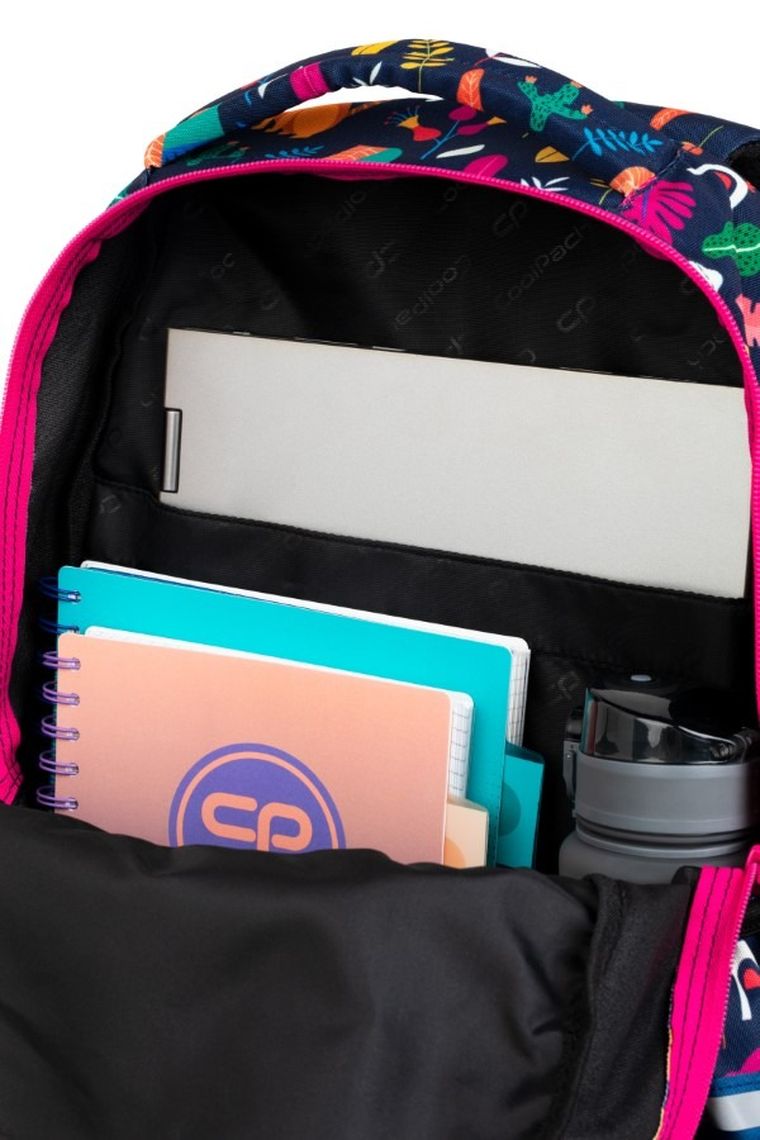 CoolPack, Basic Plus, plecak szkolny, 2-komorowy, Lady Color