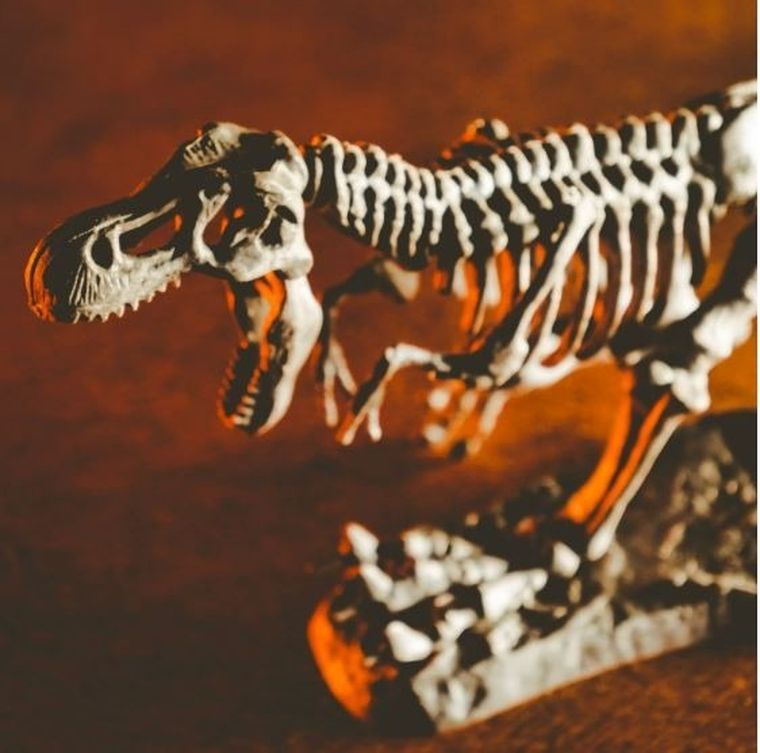 Crazy Science, Smoki i Dinozaury, zestaw kreatywny