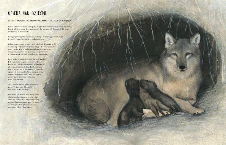 Czternaście wilków