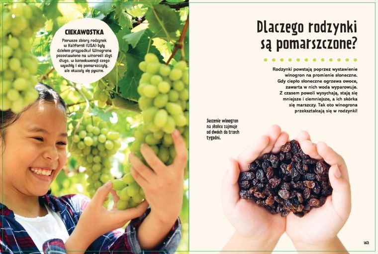 Dlaczego? Moja pierwsza wielka księga odpowiedzi