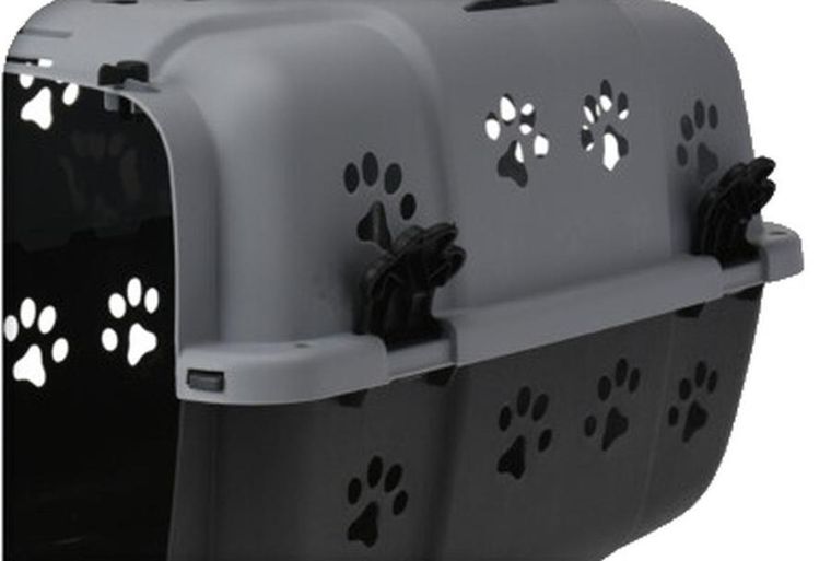 Dogs collection, transporter dla zwierzaka, 48-32-30 cm