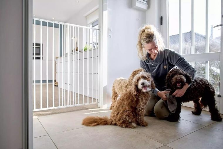 DogSpace, Charlie, bardzo wysoka, przykręcana bramka dla psa, biała, 63.5-107 cm