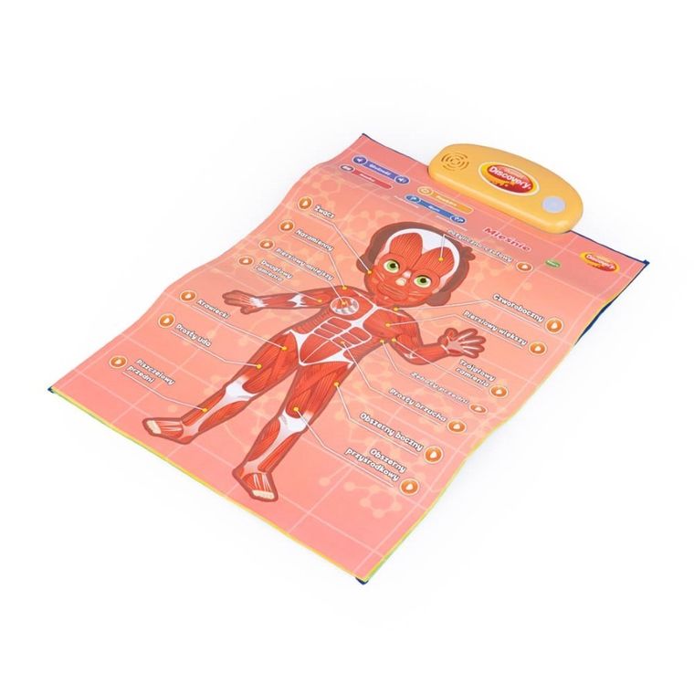 Dumel Discovery, Człowiek, edukacyjne plakaty interaktywne