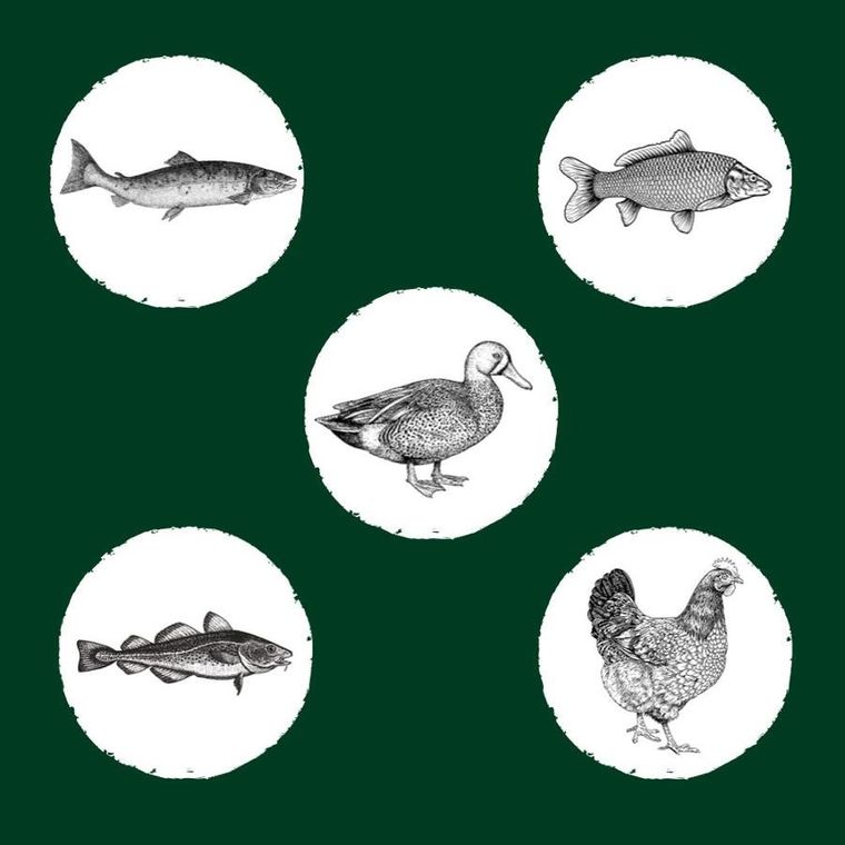 Eden, Original Cuisine, karma sucha dla kota, 10kg