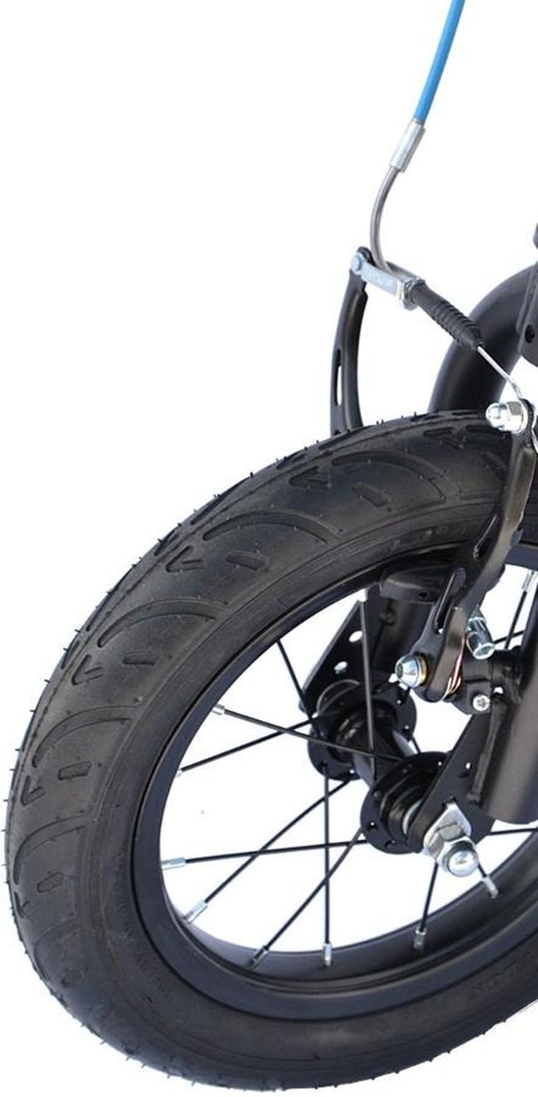 Enero, 12 Matrix, hulajnoga