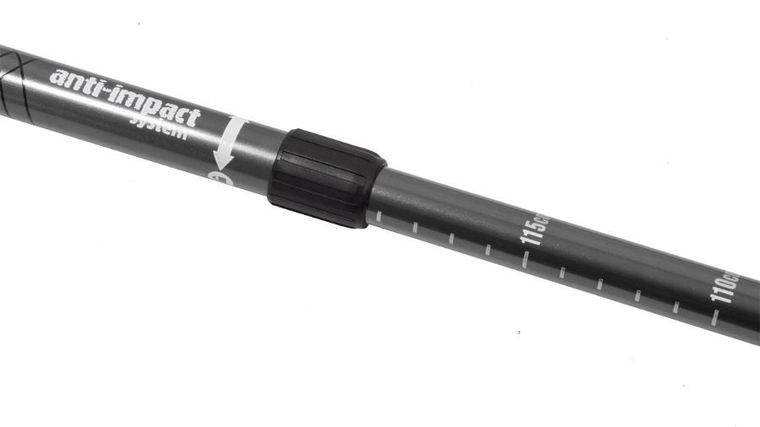 Enero, Classic, kije trekkingowe, srebrne