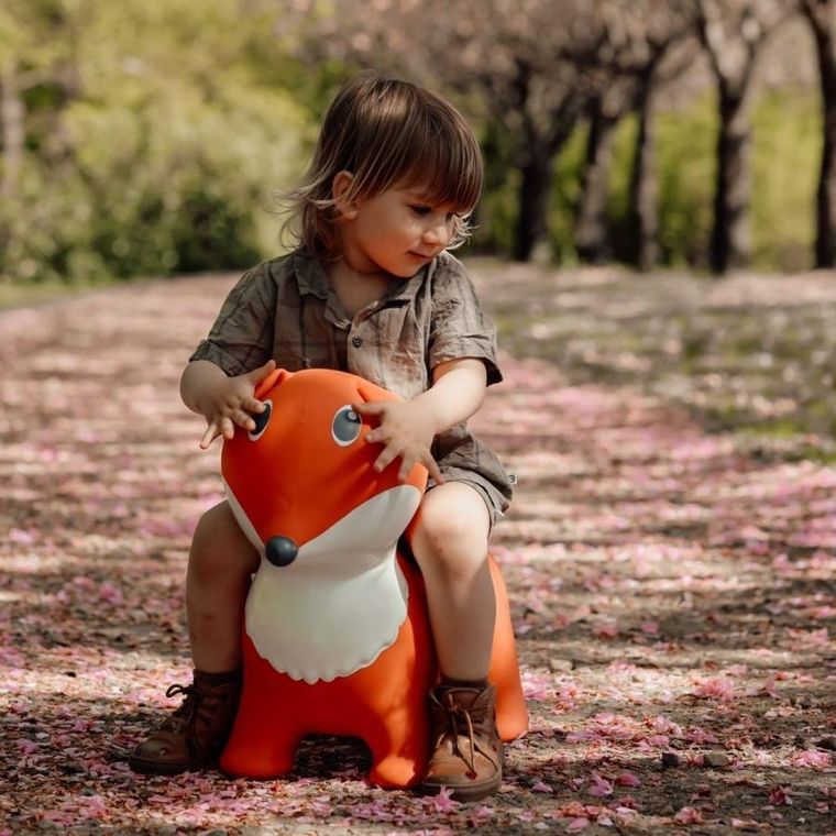 Find that Hippo, Lis, skoczek