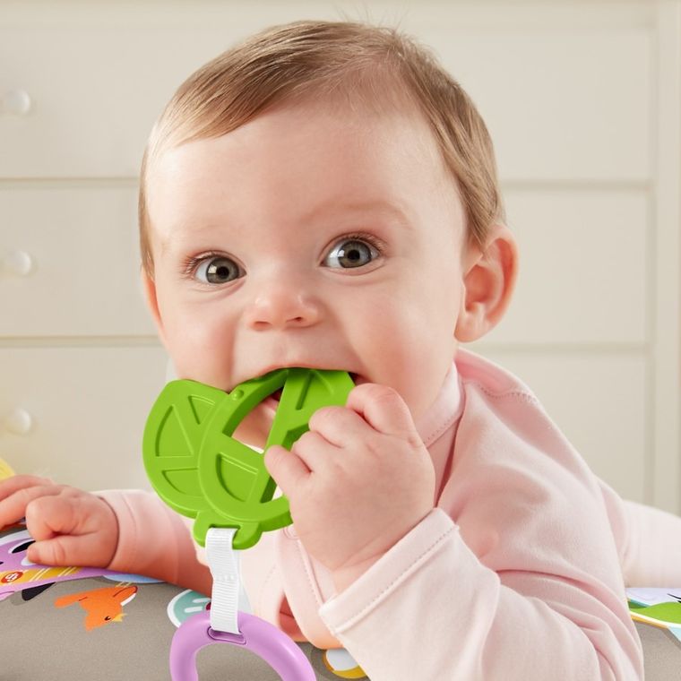 Fisher-Price, Muzyczny Leniwiec, poduszka z wibracjami, interaktywna zabawka niemowlęca