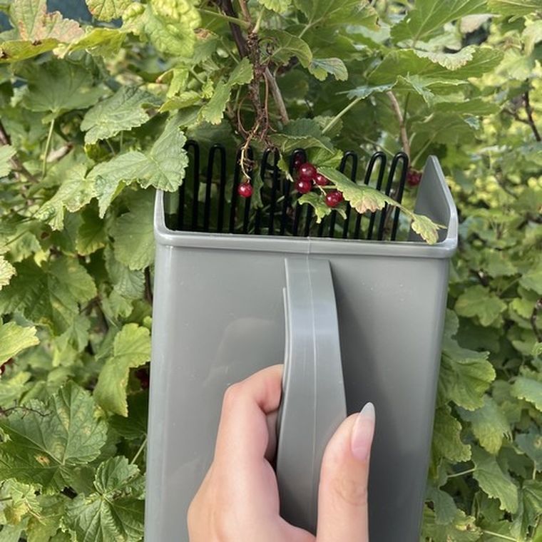 Gardlov, zbieraczka do owoców