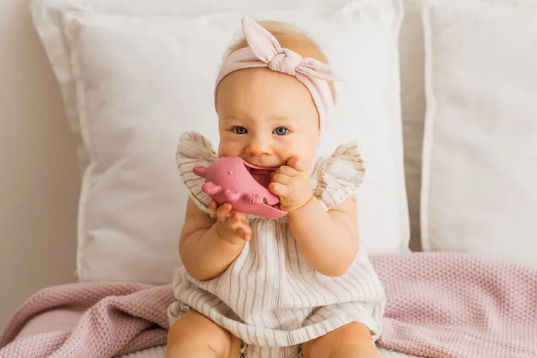 GiliGums, Aksolotl, gryzak, różowy