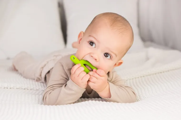 GiliGums, Kaktus, szczoteczka, zielony