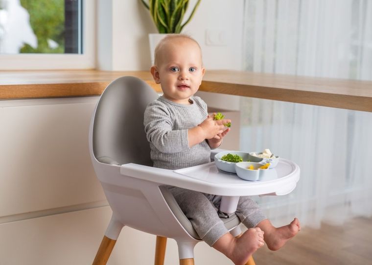 GiliGums, Krab, talerz, szary