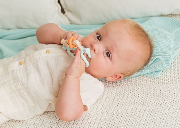 GiliGums, Miś, gryzak