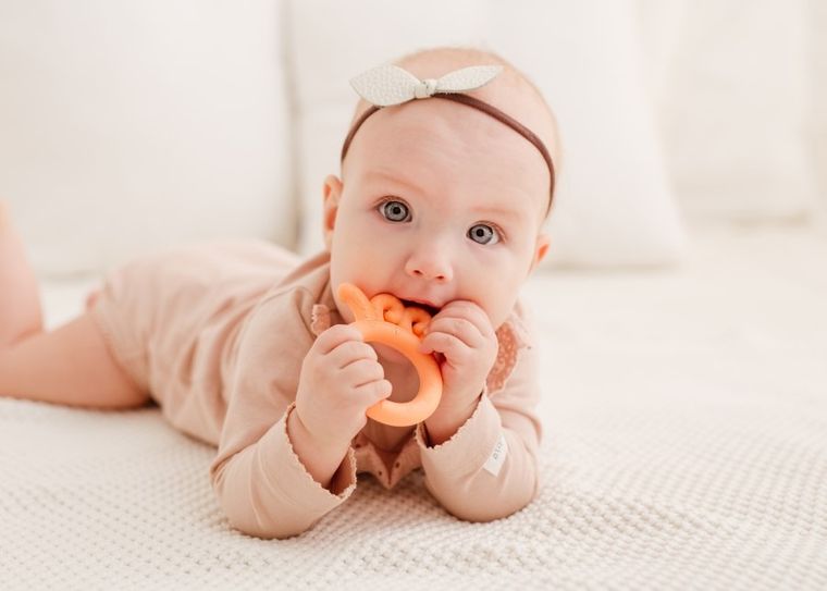 GiliGums, Ośmiornica, gryzak, brzoskwiniowy