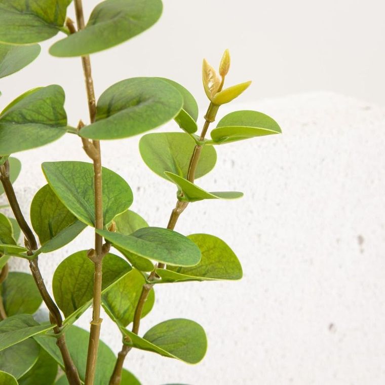 Homla, Mikso, gałązka sztuczna, liście eukaliptusa, 97 cm