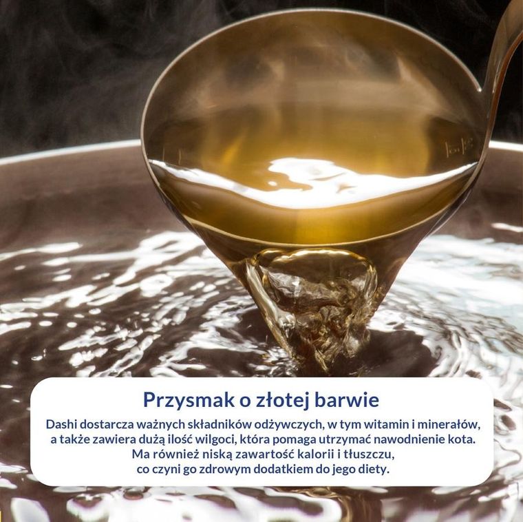 Inaba, Ciao, bulion, kurczak i łosoś, mokra karma dla kotów, 40g