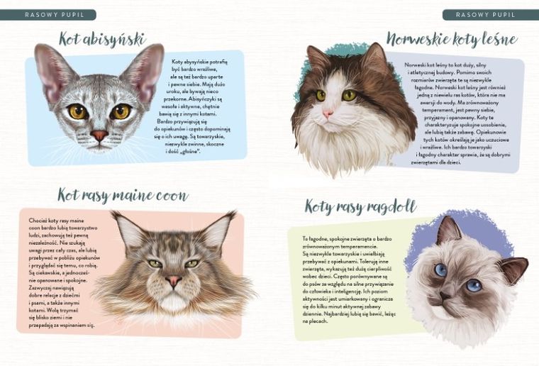 Kalendarz szkolny. Kotki