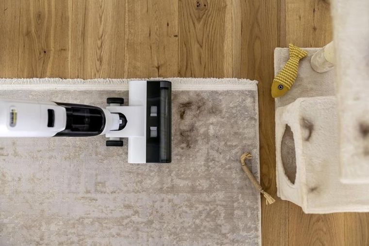 Karcher, FCV 2 Natural N, mop elektryczny