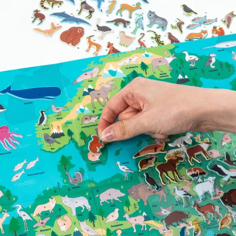 Kidea, Gdzie one żyją? Zwierzęta Europy, wyklejanka + gra
