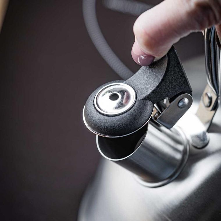 Kinghoff, czajnik z gwizdkiem, srebrny, 2,5l