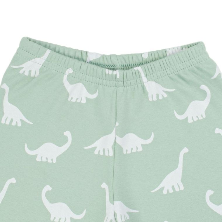 Komplet chłopięcy, T-shirt, Szorty, zielony, Nicol