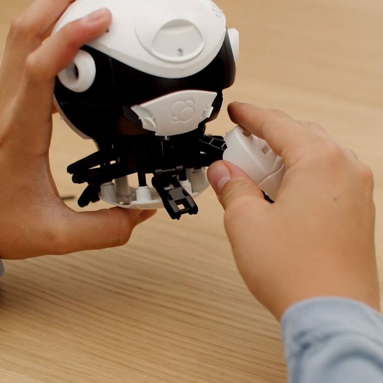 Kosmos, Bitsy, robot interaktywny, zestaw edukacyjny