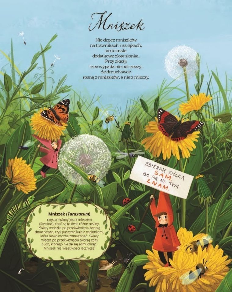 Łąka. Fakty, wierszyki i inne wybryki