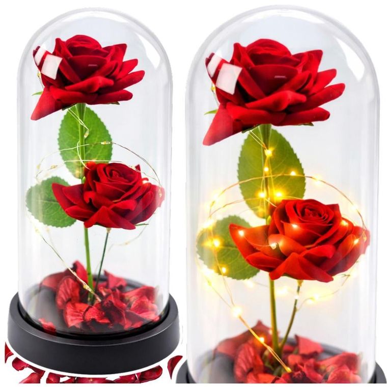 Lean Toys, 2 wieczne róże w kopule, z oświetleniem LED