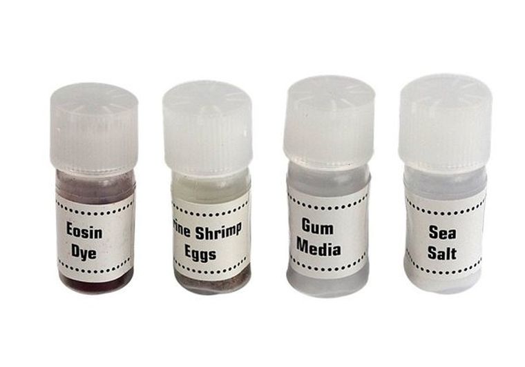 Lean Toys, mikroskop w walizce