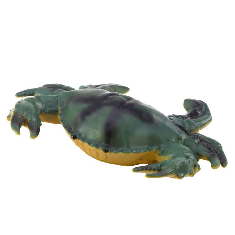 Lean Toys, zwierzęta morskie, zestaw figurek, 5 elementów