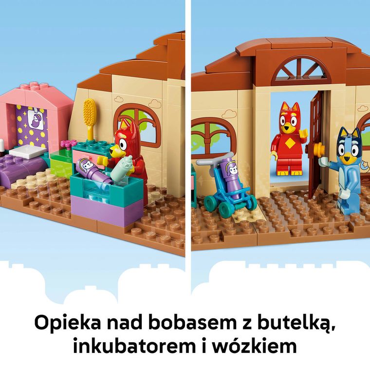 LEGO Blue, Szkoła z Ryżykiem i Blue, 11221