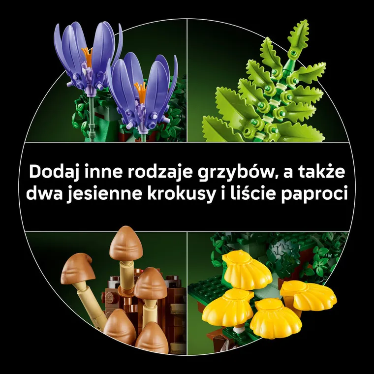LEGO Botanicals, Grzyby leśne, 11505