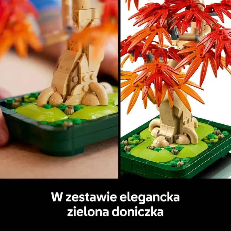 LEGO Botanicals, Klon palmowy bonsai, 10348
